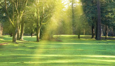 Higgins Reardon Funeral Homes Poland Chapel